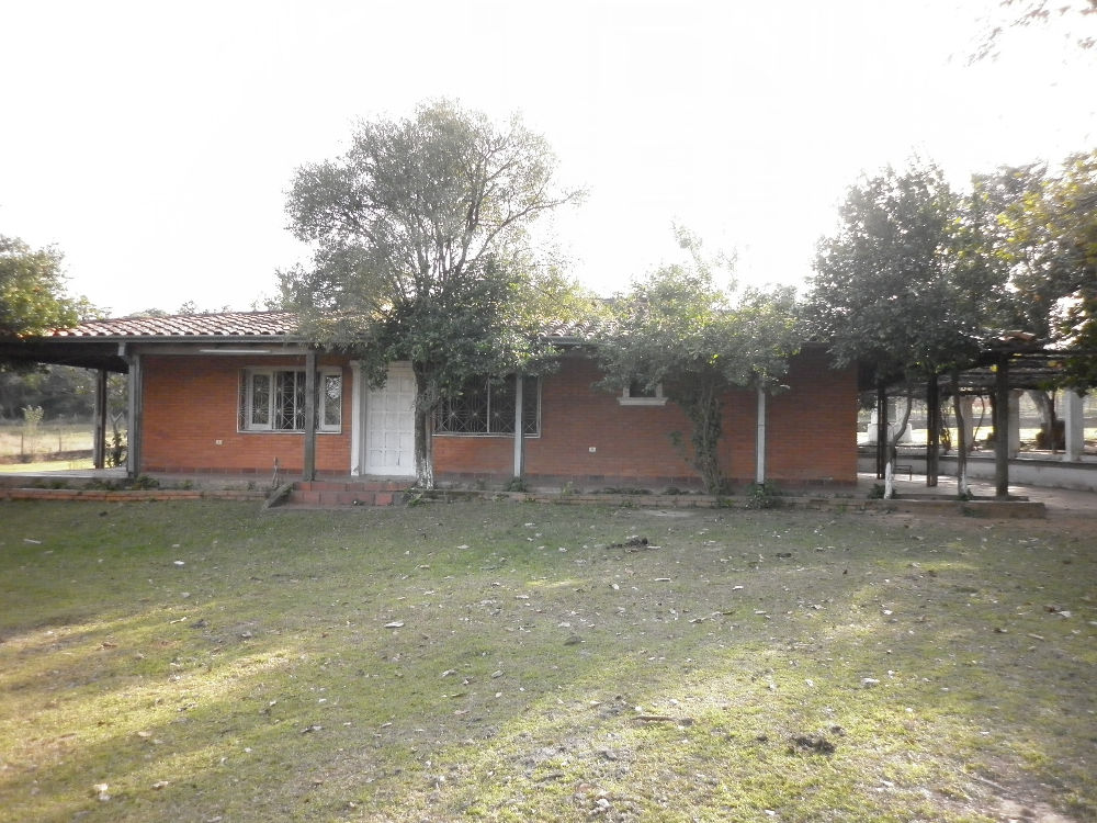 BISA-1-1