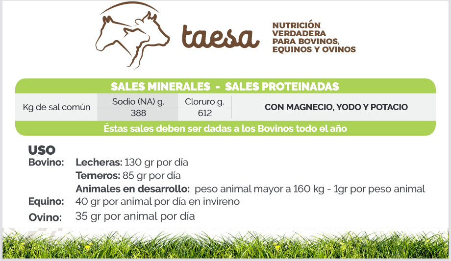 Screenshot 2022-12-27 at 16-33-48 Triptico Taesa (Nutrición).cdr - Triptico-Taesa-Nutricion-2-2.pdf