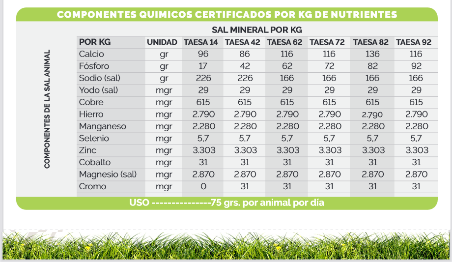 Screenshot 2022-12-27 at 16-33-48 Triptico Taesa (Nutrición).cdr - Triptico-Taesa-Nutricion-2-2.pdf