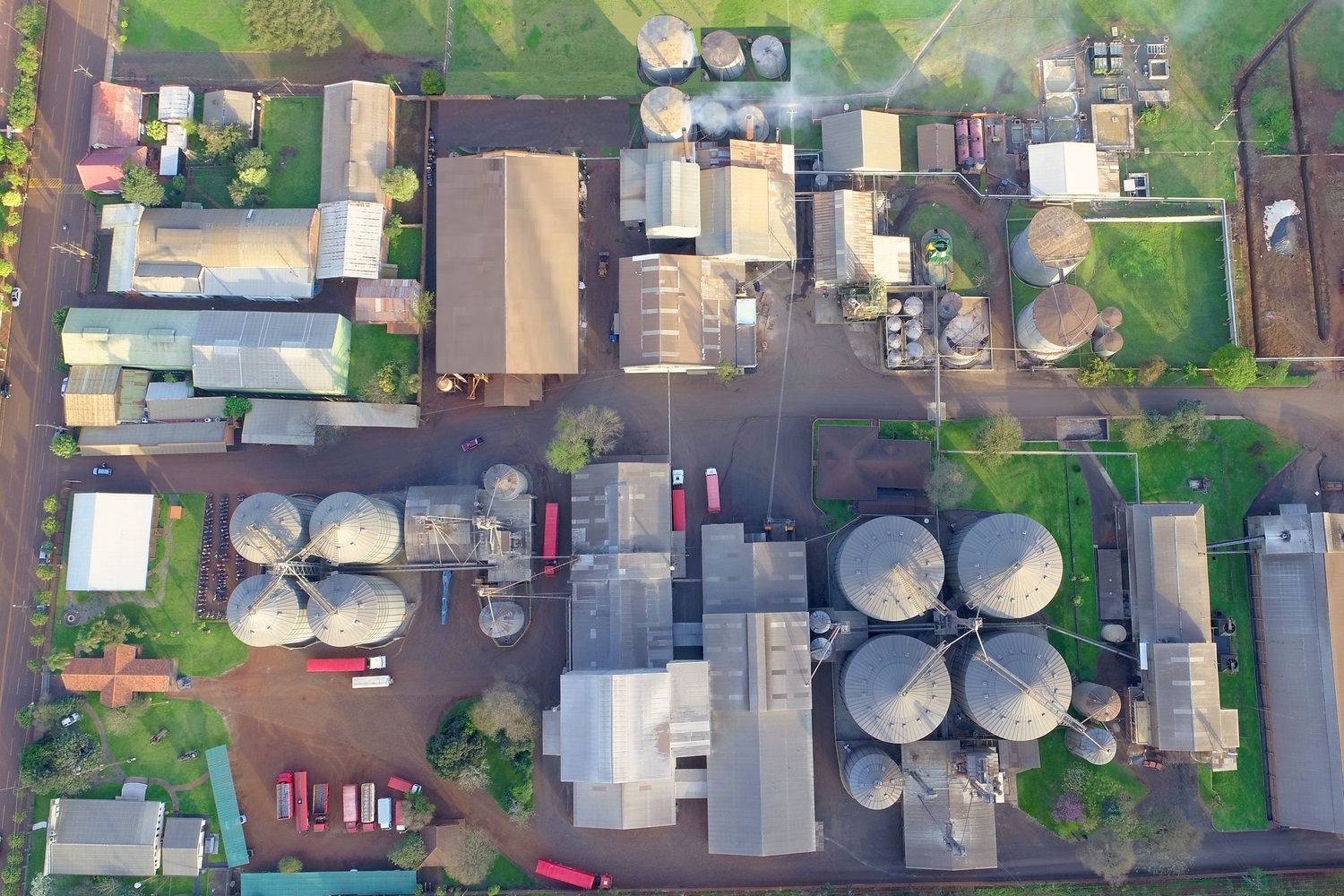 LOGISTICO