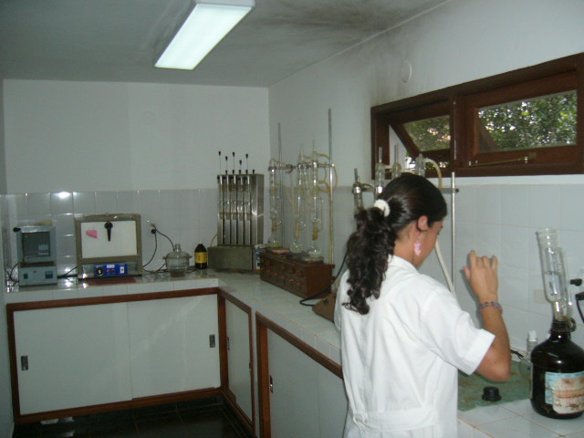 P1040785